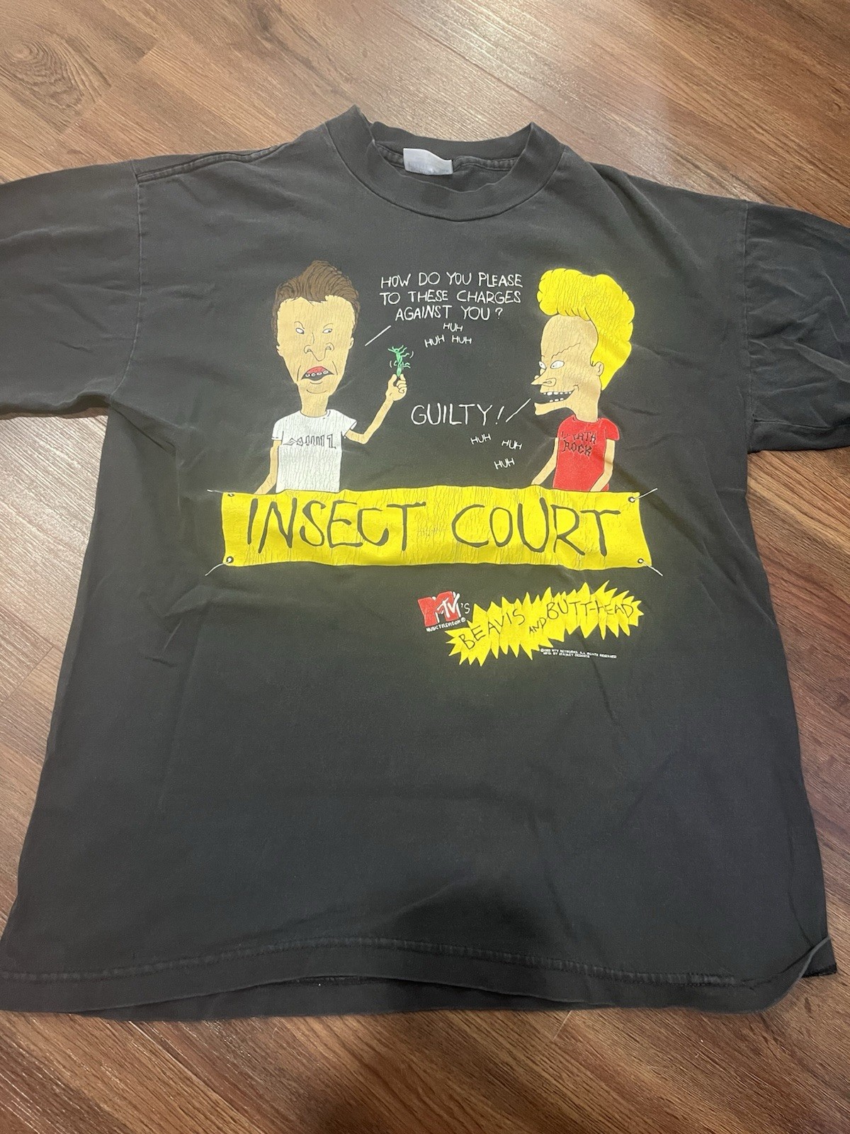 Vintage 1993 Beavis And Butthead Insect Court Black Large Tee Vintage 1993 Beavis And Butthead Insect Court Black Large Tee