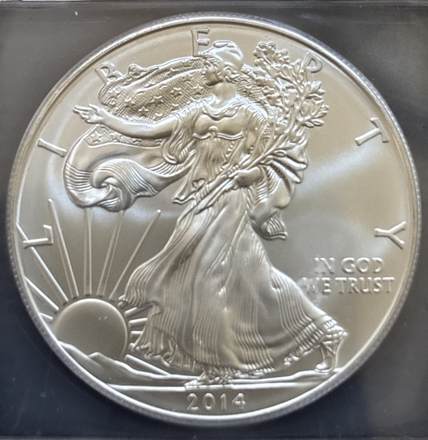 2014 American Silver Eagle ICG MS69 $1• 1 oz .999 Fine Silver ASE