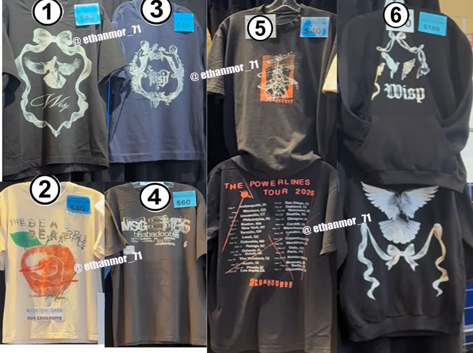Beabadoobee Shirt The Powerlines Tour 2026 Merch Reprint T-Shirt or Hoodie