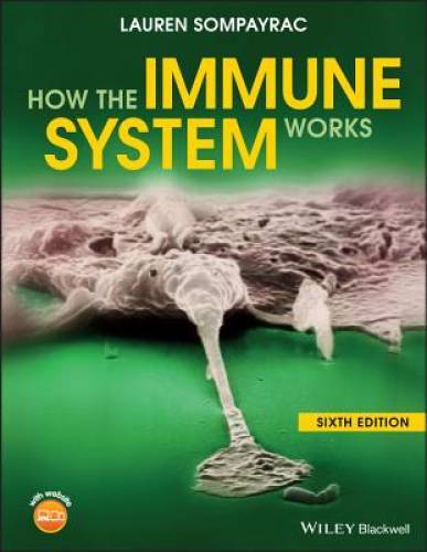 How the Immune System Works (The How it Works Series) - Paperback - GOOD How the Immune System Works (The How it Works Series) - Paperback - GOOD