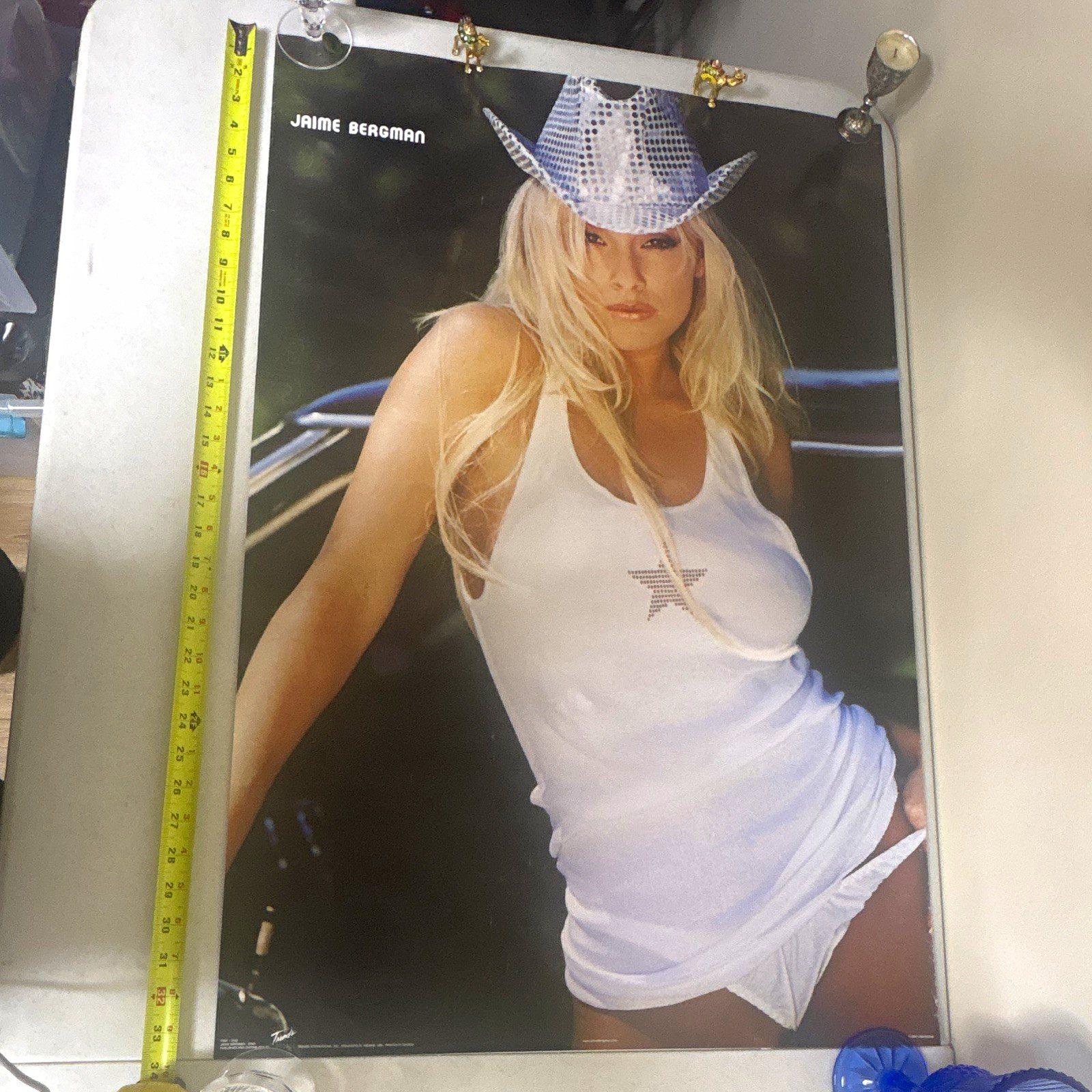 Jaime Bergman Vintage 2002 Glamour Poster Trends International #2552 24x32