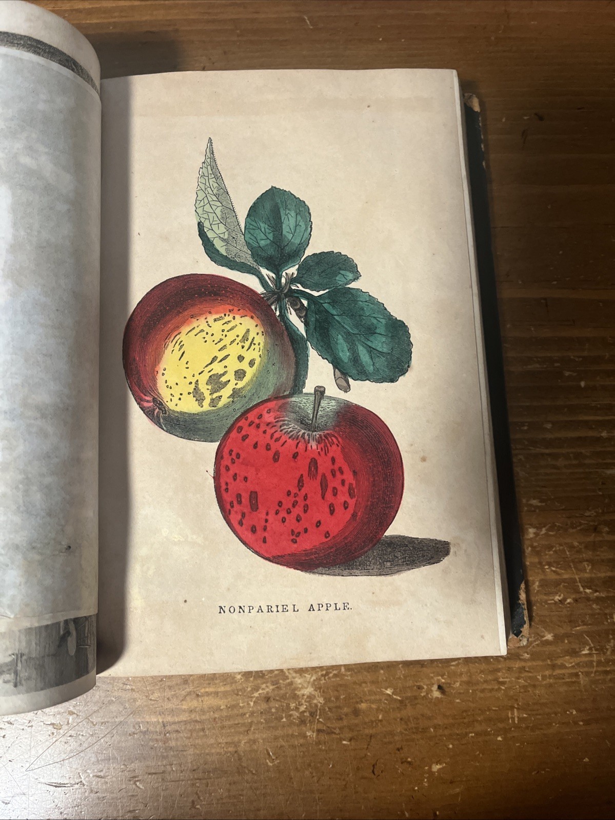 1847 Family Circle And Parlor Annual; As Is; Hand Colored Plates. 1847 Family Circle And Parlor Annual; As Is; Hand Colored Plates.