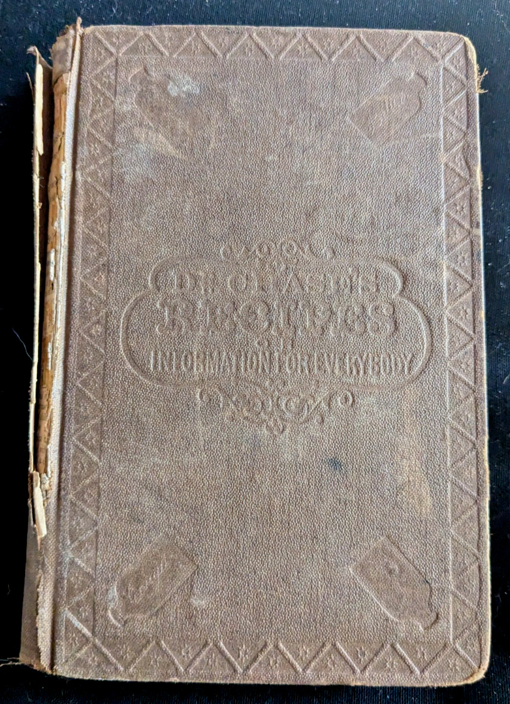 1867 Dr. Chase’s Recipes & Information for Everybody – 800+ Formulas - Original 1867 Dr. Chase’s Recipes & Information for Everybody – 800+ Formulas - Original