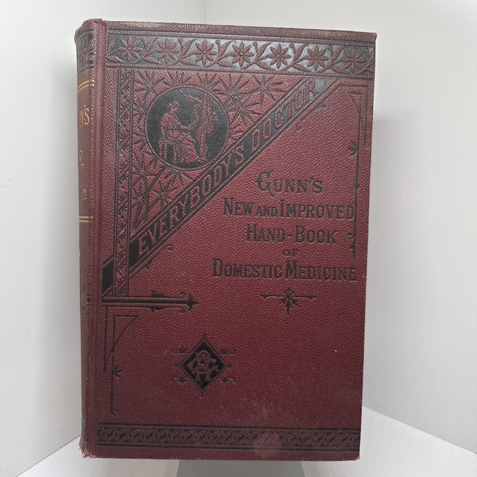 Everybody’s Doctor Robert A Gunn 1885 First Edition Antique Medical Book Everybody’s Doctor Robert A Gunn 1885 First Edition Antique Medical Book