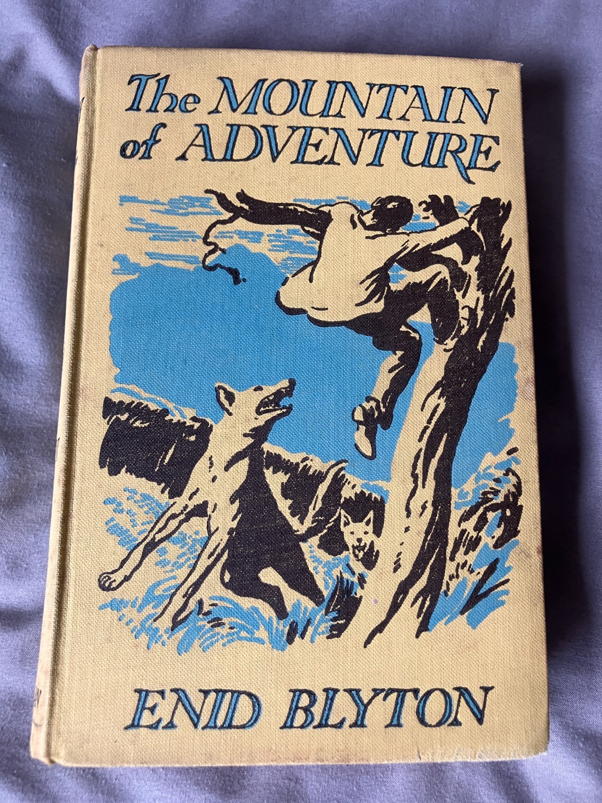 Vintage 1952 The Mountain of Adventure by Enid Blyton HB Macmillan Classic