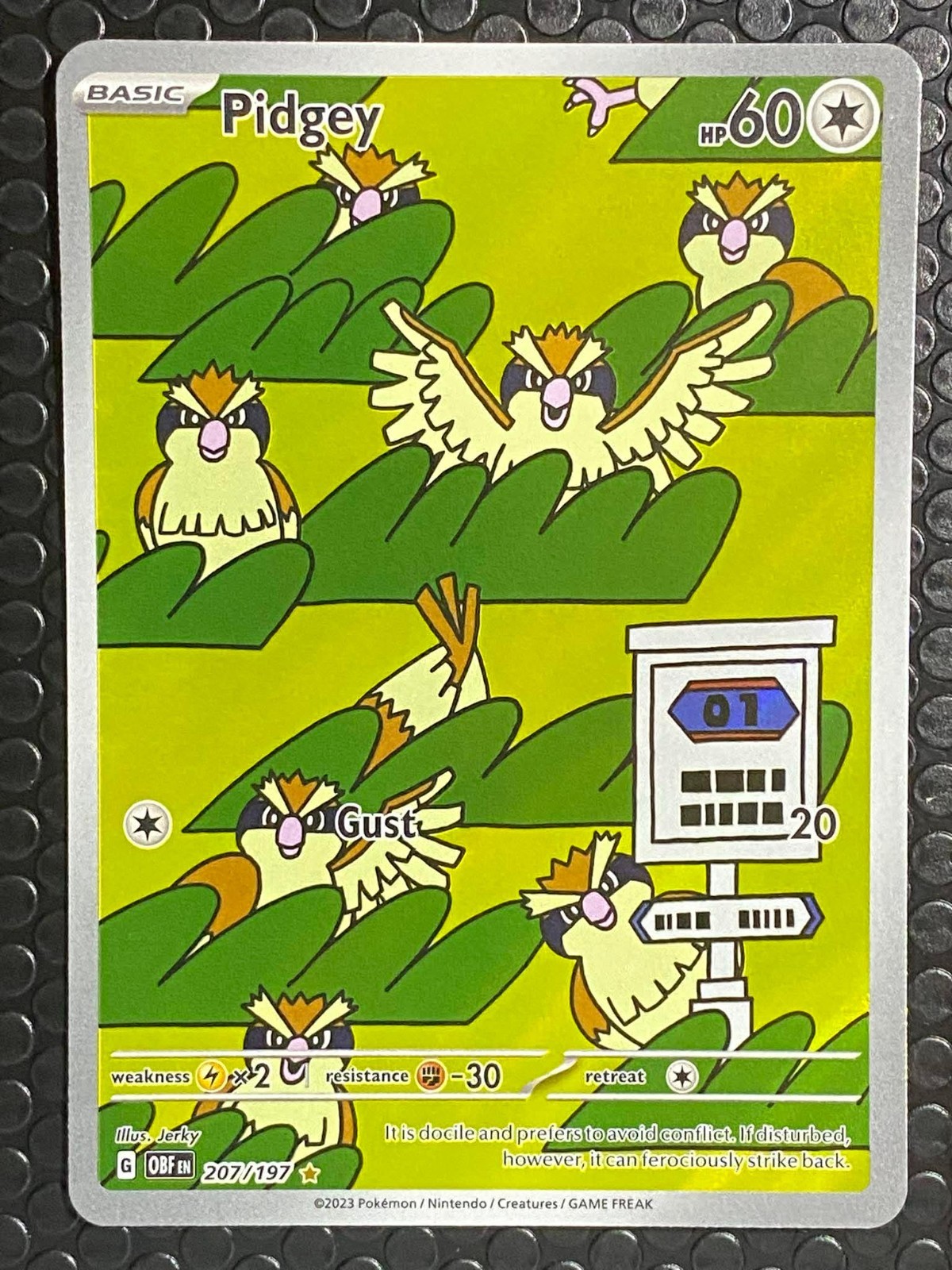 Pokemon Pidgey 207/197 Illustration Rare Obsidian Flames Pokemon Holo Near Mint Pokemon Pidgey 207/197 Illustration Rare Obsidian Flames Pokemon Holo Near Mint