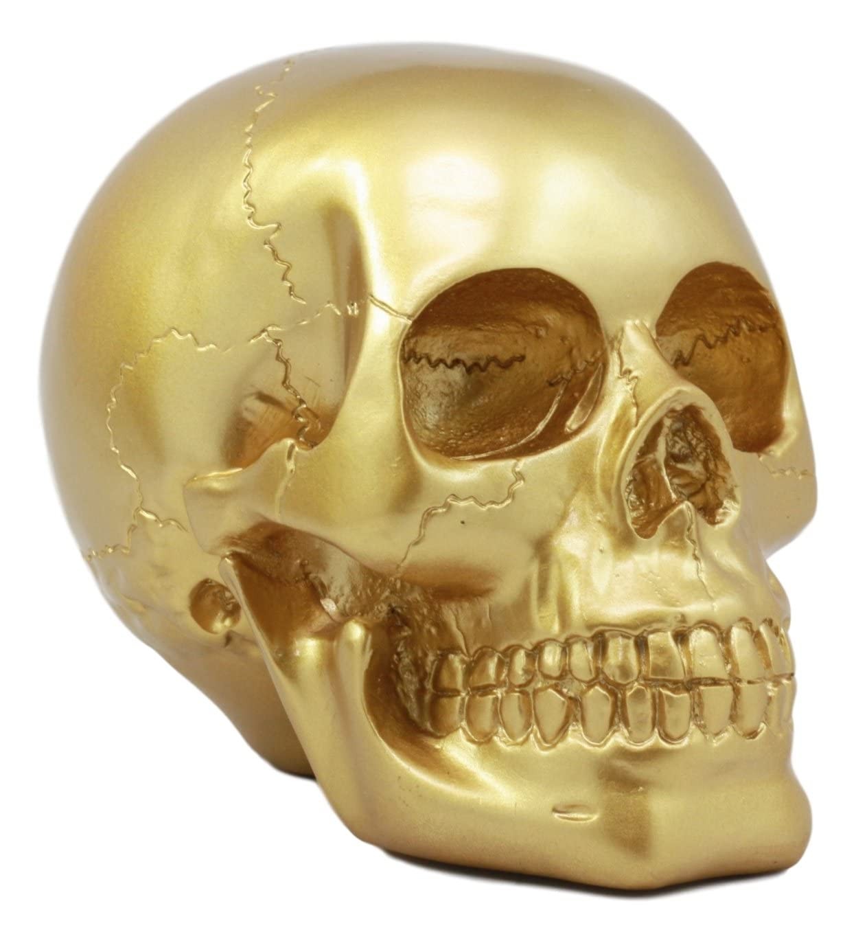 Ebros Pirate's Loot Gold Skull Statue Day of the Dead Skull Gothic Head