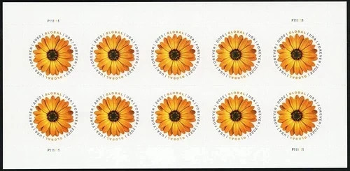 USPS 2022 Stamps Global Forever African Daisy -MNH- (5sheet=50pcs) USPS 2022 Stamps Global Forever African Daisy -MNH- (5sheet=50pcs)