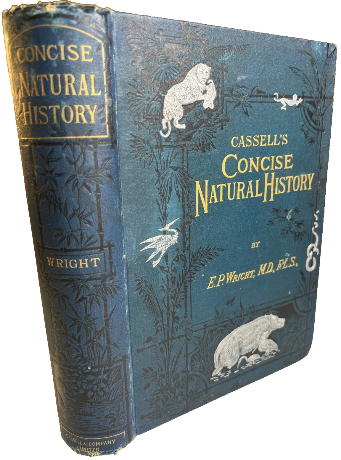 Antique Victorian Ornate Embossed Gilded Book 1887 Cassell's Natural History
