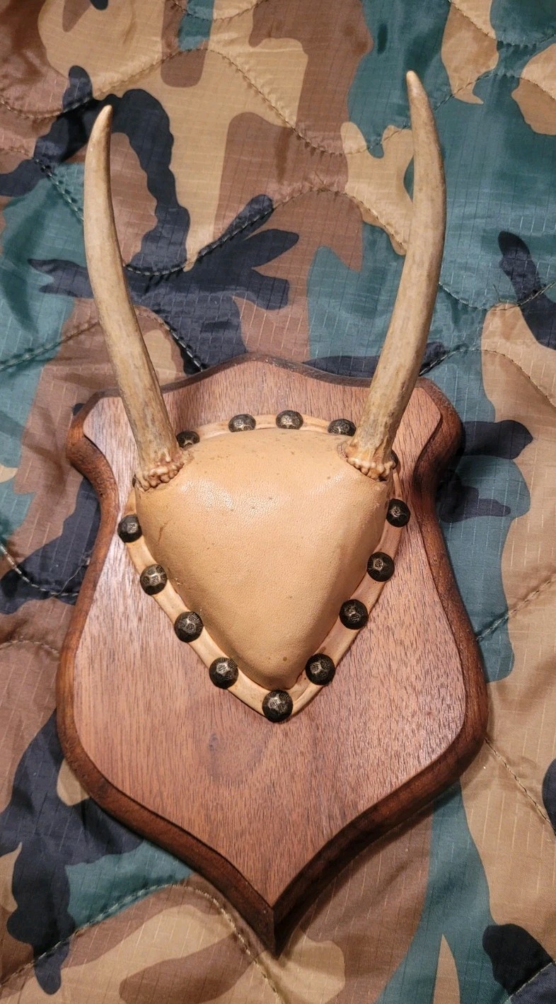 Vintage Whitetail 2 Point Antler Mounts