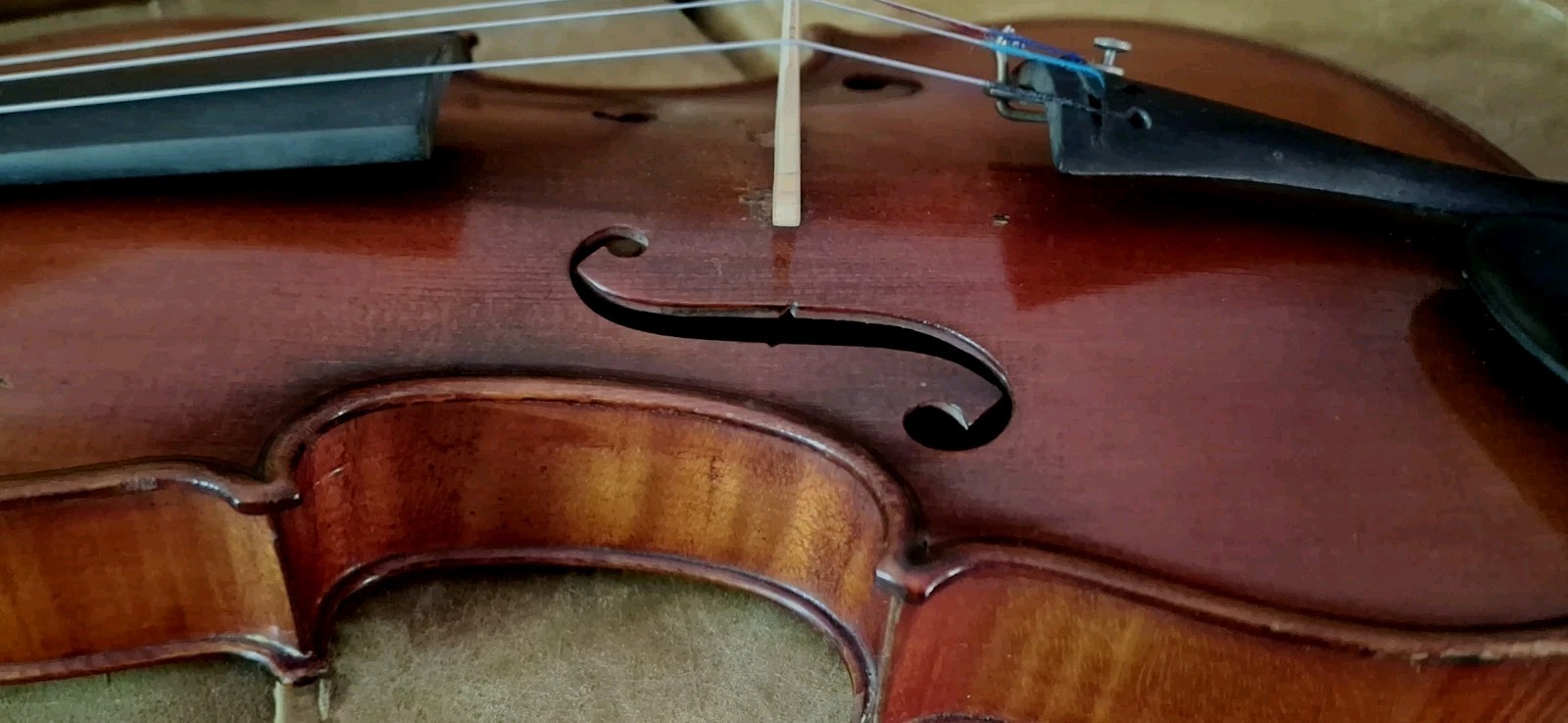Wonderful 4/4 French Master Violin Lutherie Vosgienne Paris Ca . 1900