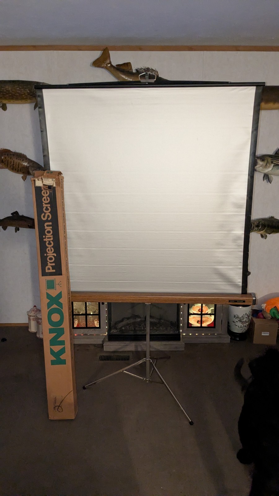 Vtg PROJECTION SCREEN 50 X 50 MODEL KNOX PARADE Excellent Condition Used Twice