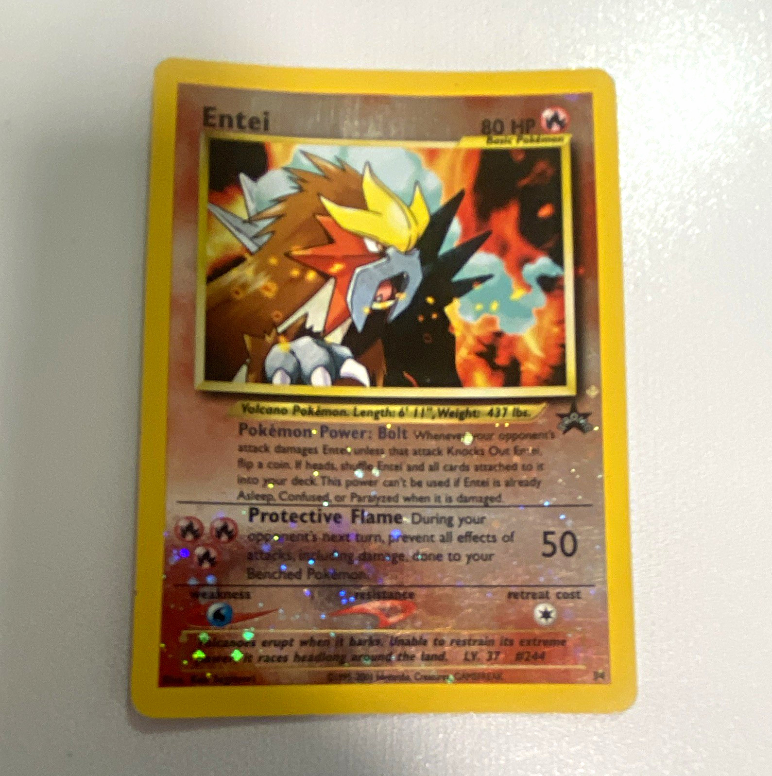 Entei 17/64 Neo Revelation Holo Rare Pokémon TCG Card English Basic Fire HP 80 Entei 17/64 Neo Revelation Holo Rare Pokémon TCG Card English Basic Fire HP 80