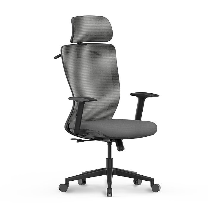 FlexiSpot Ergonomic Mesh Swivel Computer and Desk Chair, Gray (C3G-FM) FREESHIP FlexiSpot Ergonomic Mesh Swivel Computer and Desk Chair, Gray (C3G-FM) FREESHIP