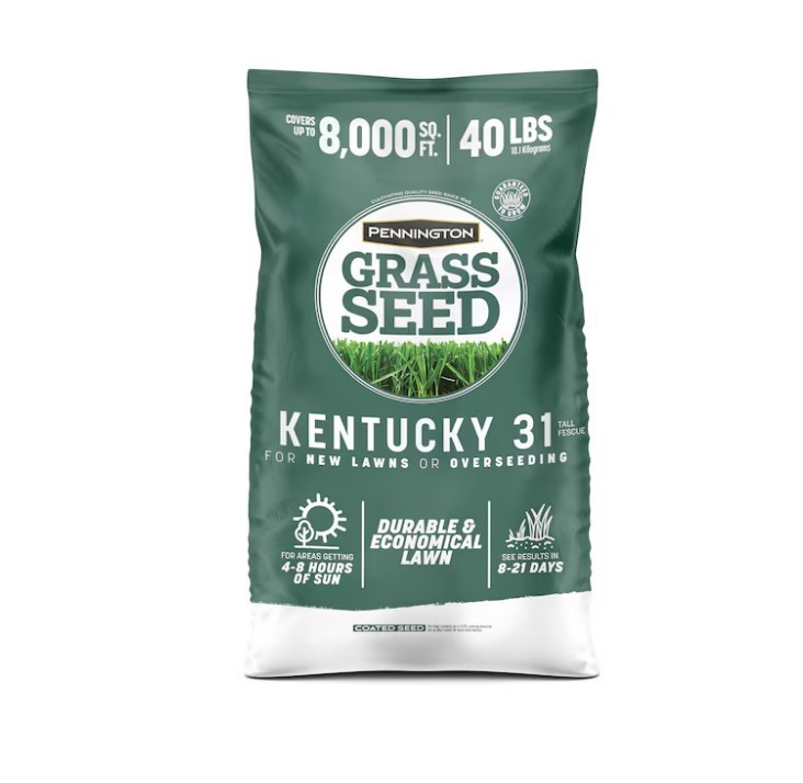 [BIG SALE] Pennington Kentucky 31 Tall Fescue Grass Seeds for Lawn 40 lb
