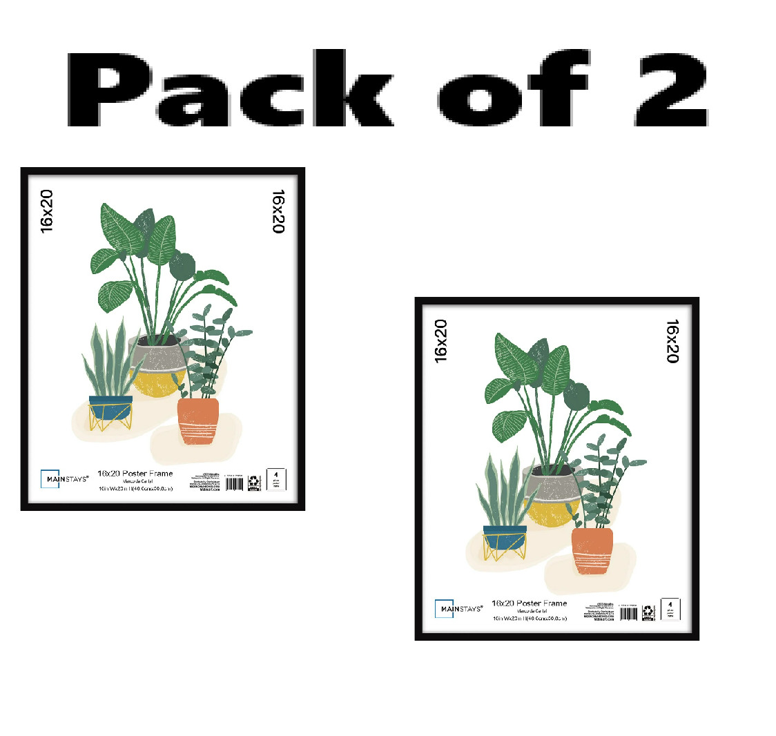 2 pack 16x20 Basic Black Poster Frame