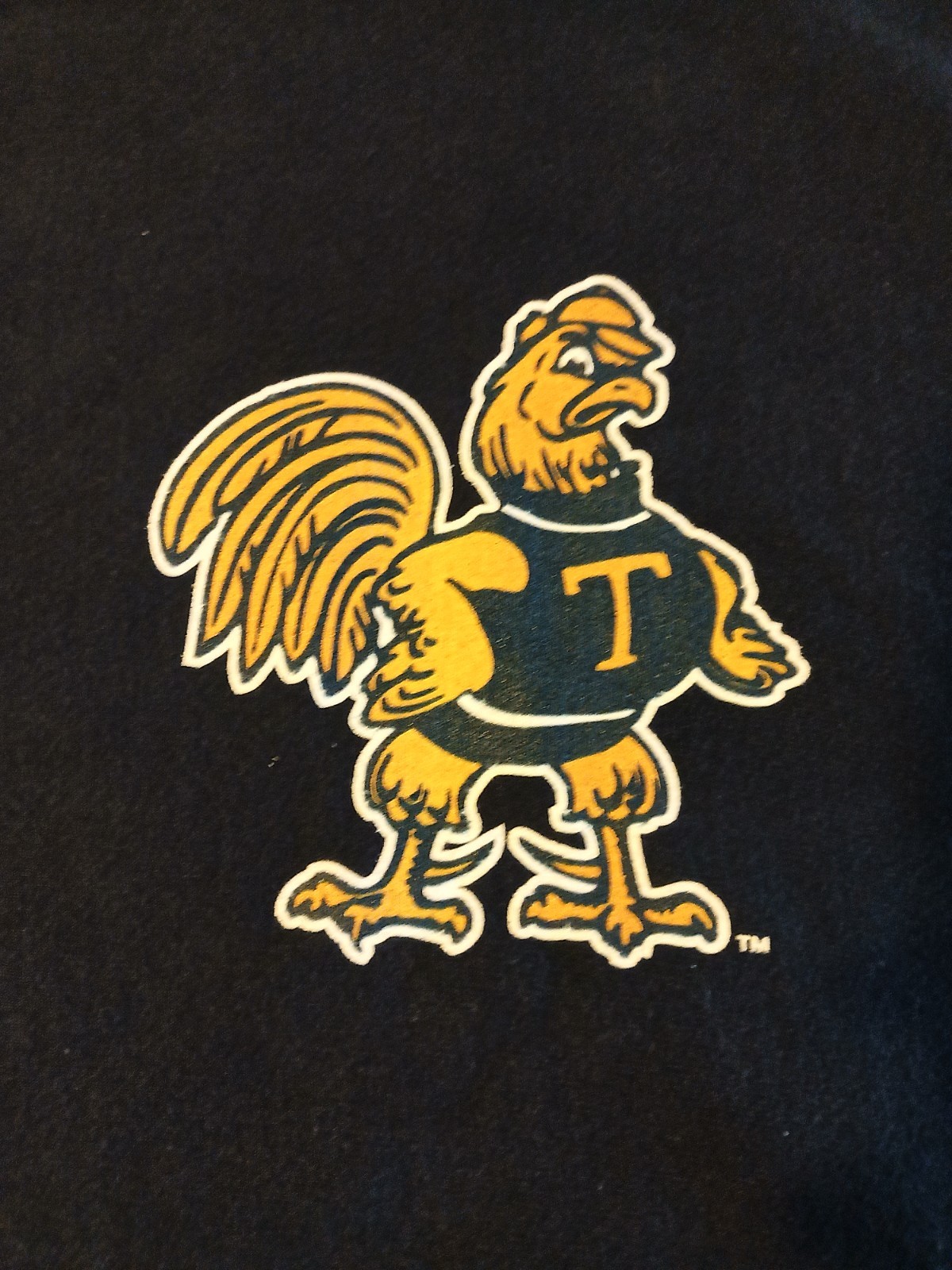 Trinity College (CT) Bantams Vintage Champion Hoodie size L Trinity College (CT) Bantams Vintage Champion Hoodie size L