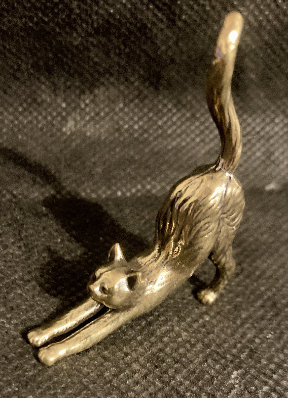 Stretching Cat 1 3/8 Stretching Cat 1 3/8