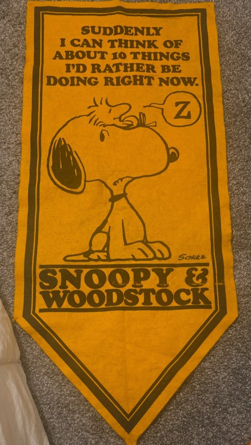 VTG 1971 Peanuts  Snoopy Woodstock 10 Things I\'d Rather Be Doing Felt Banner