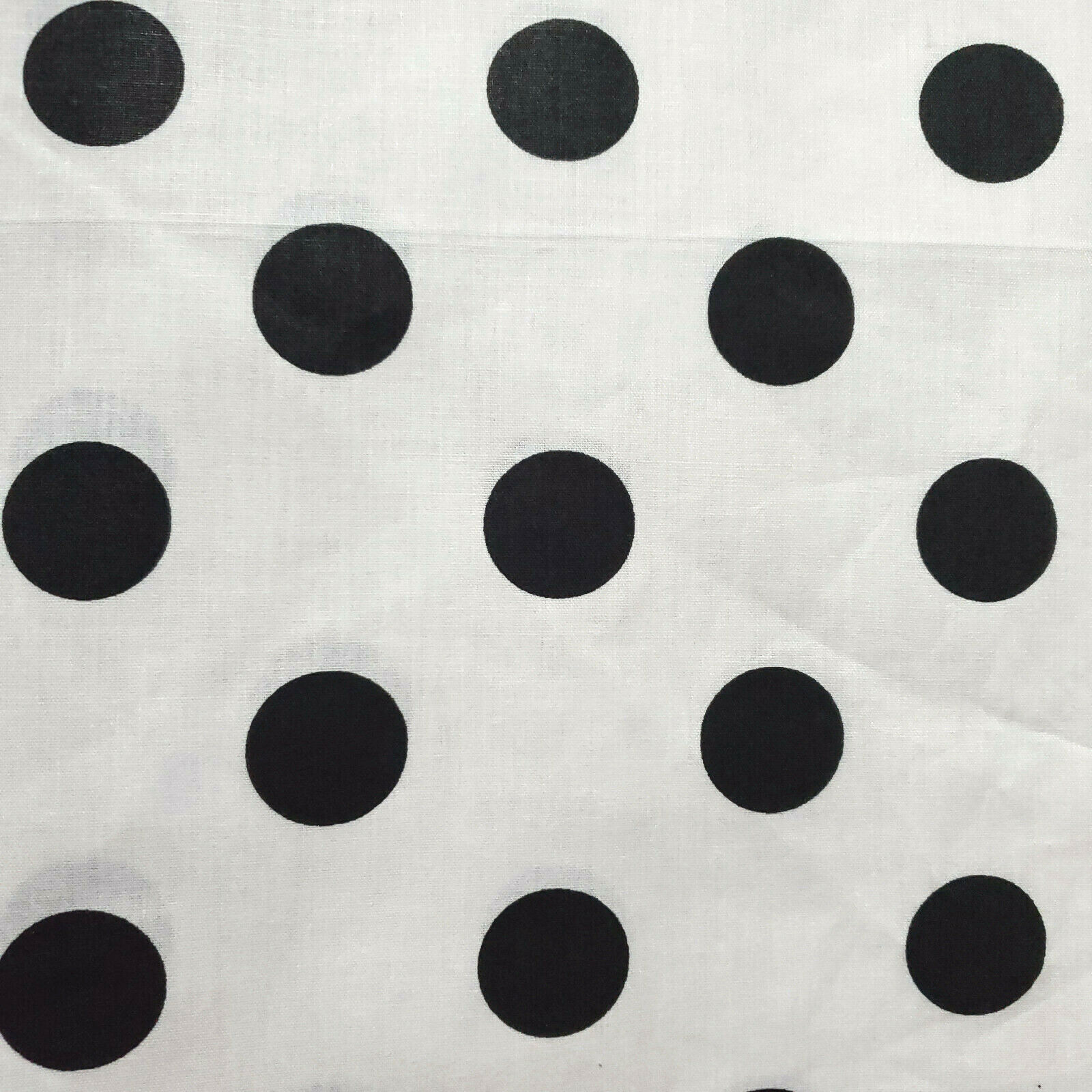 Black Polka Dot White Fabric 1\