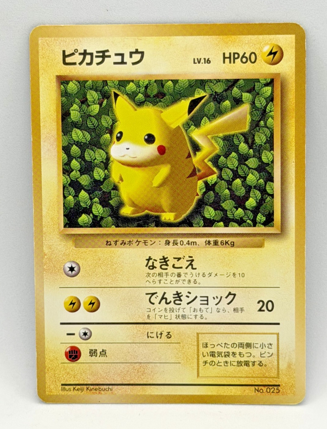 Pikachu No.025 Ivy Non Glossy CoroCoro Promo 1996 Japanese Pokemon Card Pikachu No.025 Ivy Non Glossy CoroCoro Promo 1996 Japanese Pokemon Card
