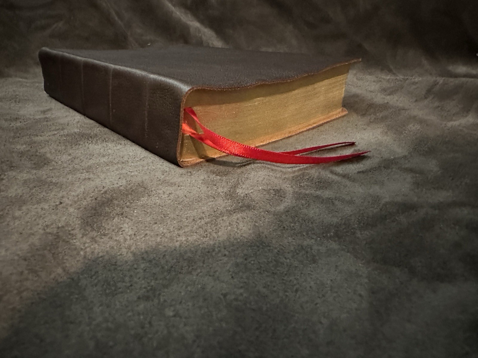 esv thompson chain reference bible English Standard Version Genuine Leather