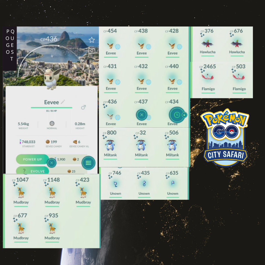 Pokémon - Eevee BG Safari Rio de Janeiro 2026 - PTC Go✨ Pokémon - Eevee BG Safari Rio de Janeiro 2026 - PTC Go✨