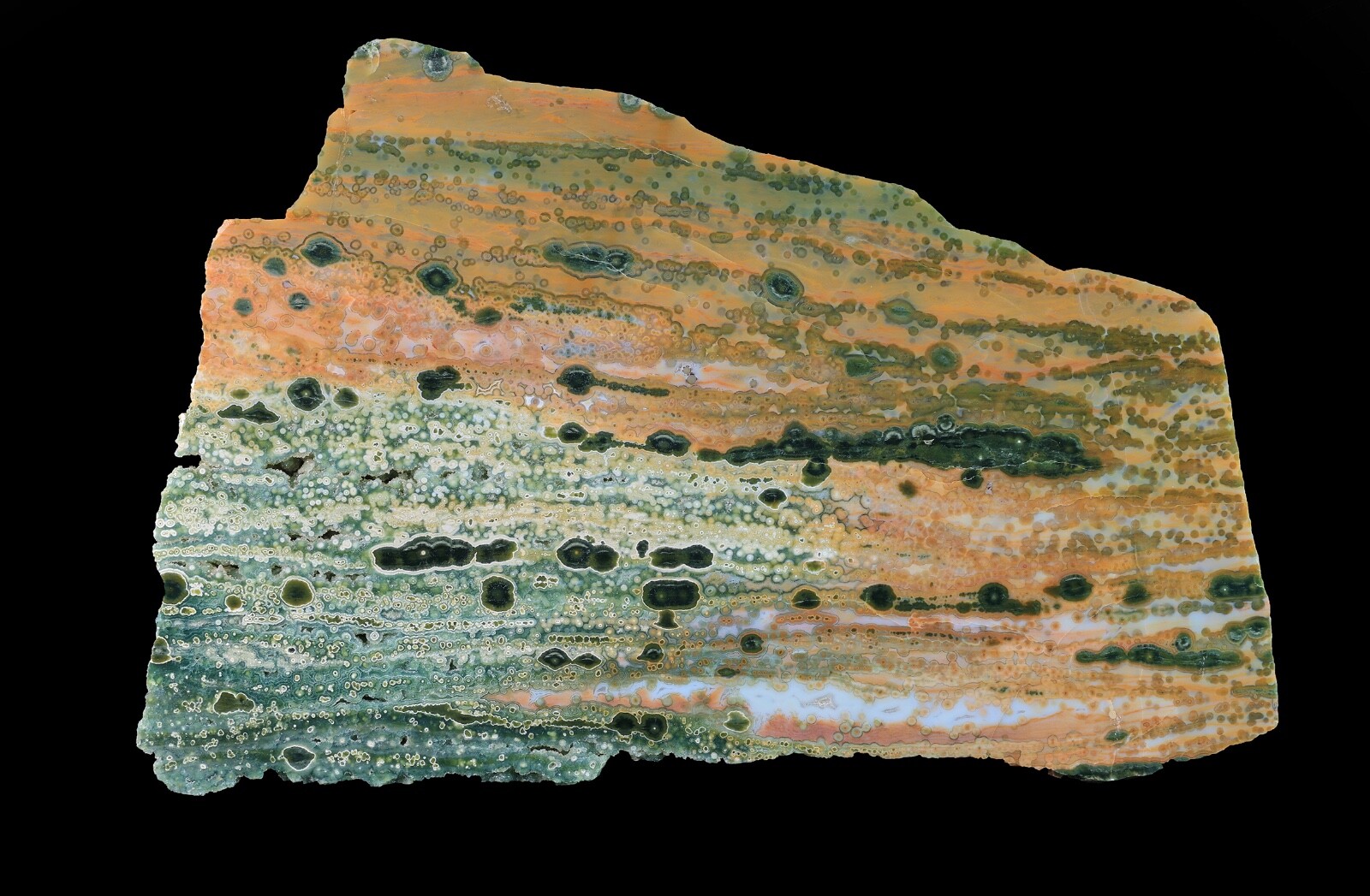 Jaw Dropping Rainbow Ocean Jasper Polished Specimen Incredible Jaw Dropping Rainbow Ocean Jasper Polished Specimen Incredible