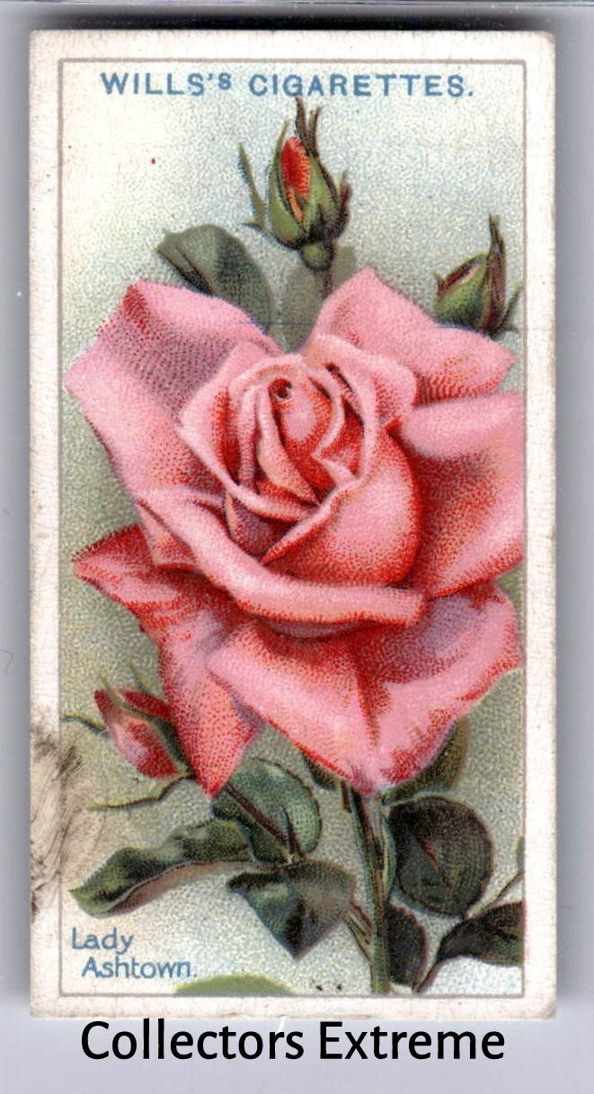 1926 Wills's Roses Tobacco Card #23 Lady Ashtown