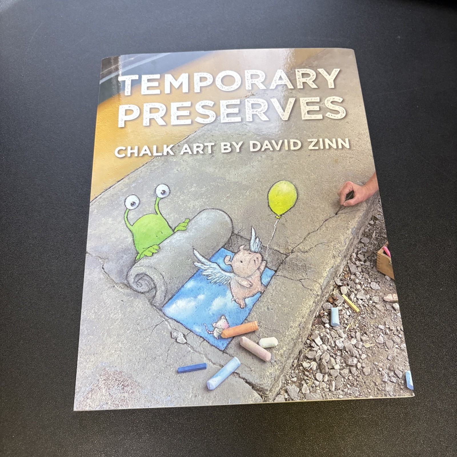 Temporary Preserves Chalk Art by David Zinn - Paperback By David Zinn - SIGNED