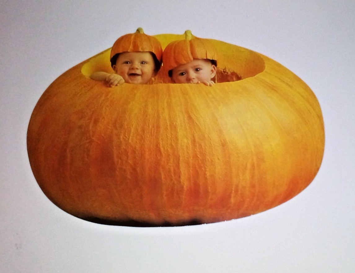 Vintage Anne Geddes Babies Inside of Pumpkin Postcard 1996