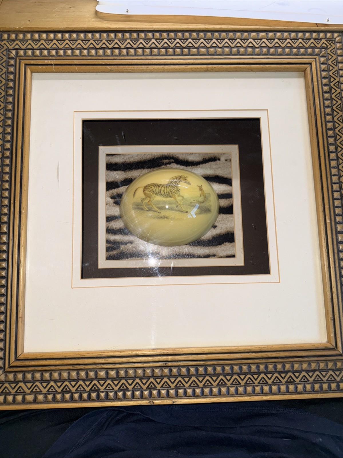 Vintage African Ostrich Egg Art - Zebra Scene - Shadow Box Framed Decor Vintage African Ostrich Egg Art - Zebra Scene - Shadow Box Framed Decor