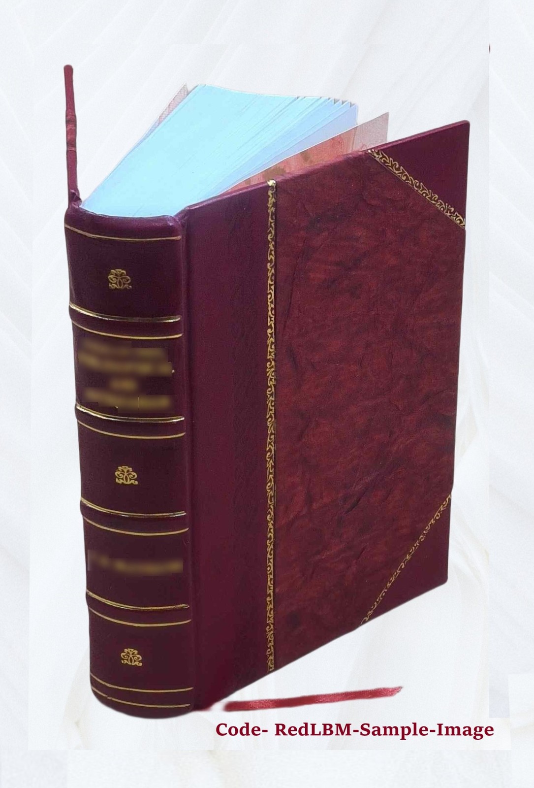 The 1599 Geneva Bible 1599 [Leather Bound]