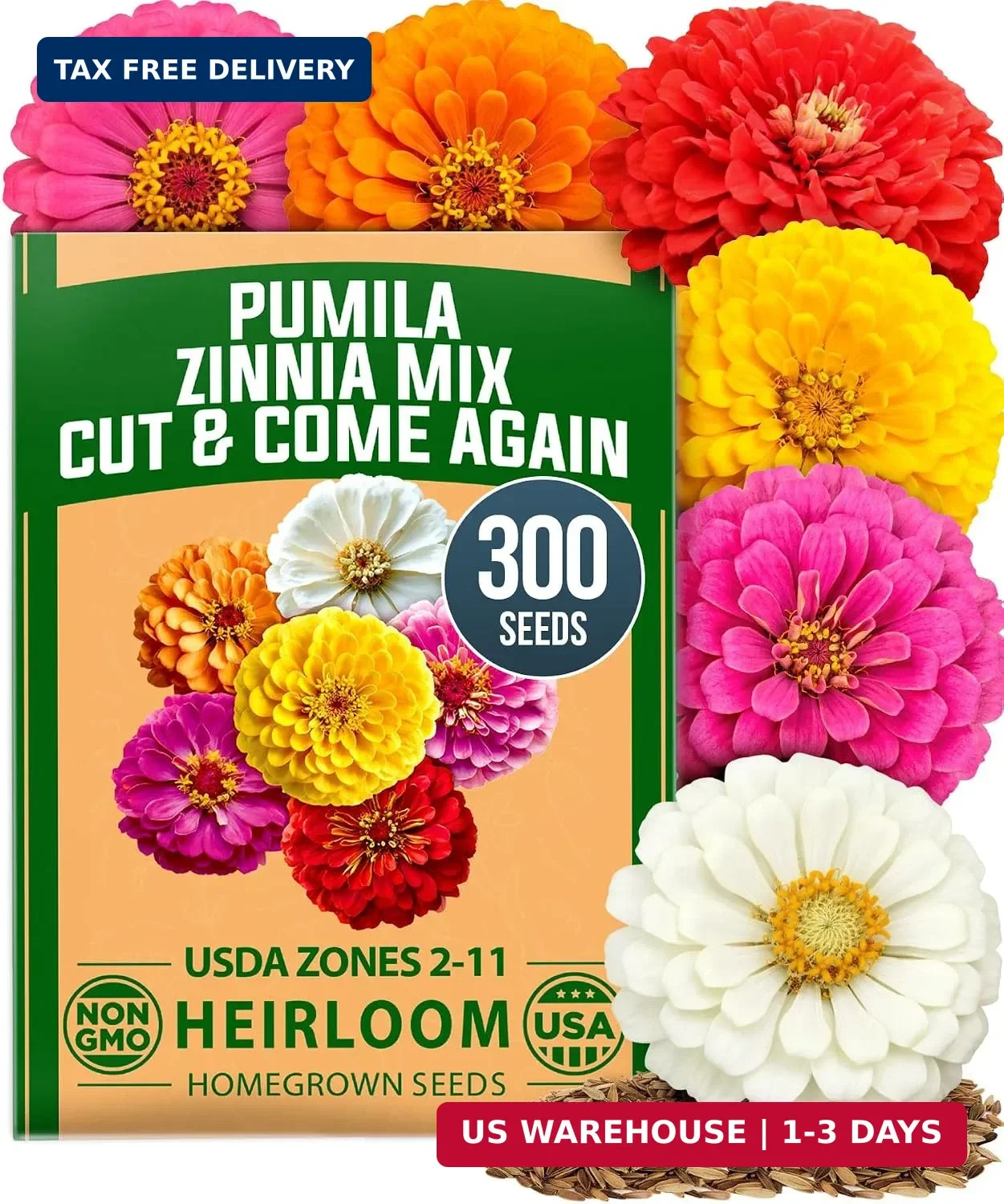 HOME GROWN Zinnia Seeds, Pumila Mix, 300 Seeds, Zinnia elegans HOME GROWN Zinnia Seeds, Pumila Mix, 300 Seeds, Zinnia elegans