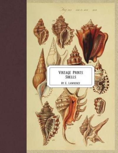 Vintage Prints: Shells Vintage Prints: Shells
