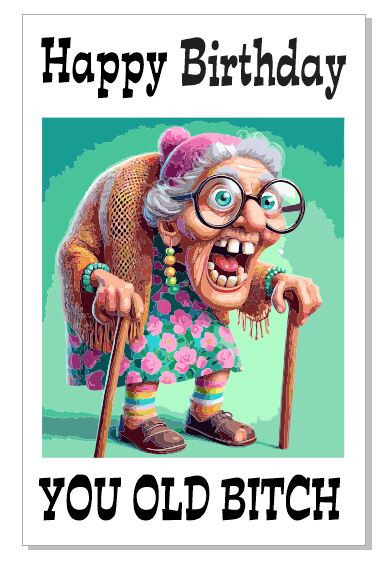 Happy Birthday You Old Bitch Funny Birthday Card Greeting Card GC05 Happy Birthday You Old Bitch Funny Birthday Card Greeting Card GC05