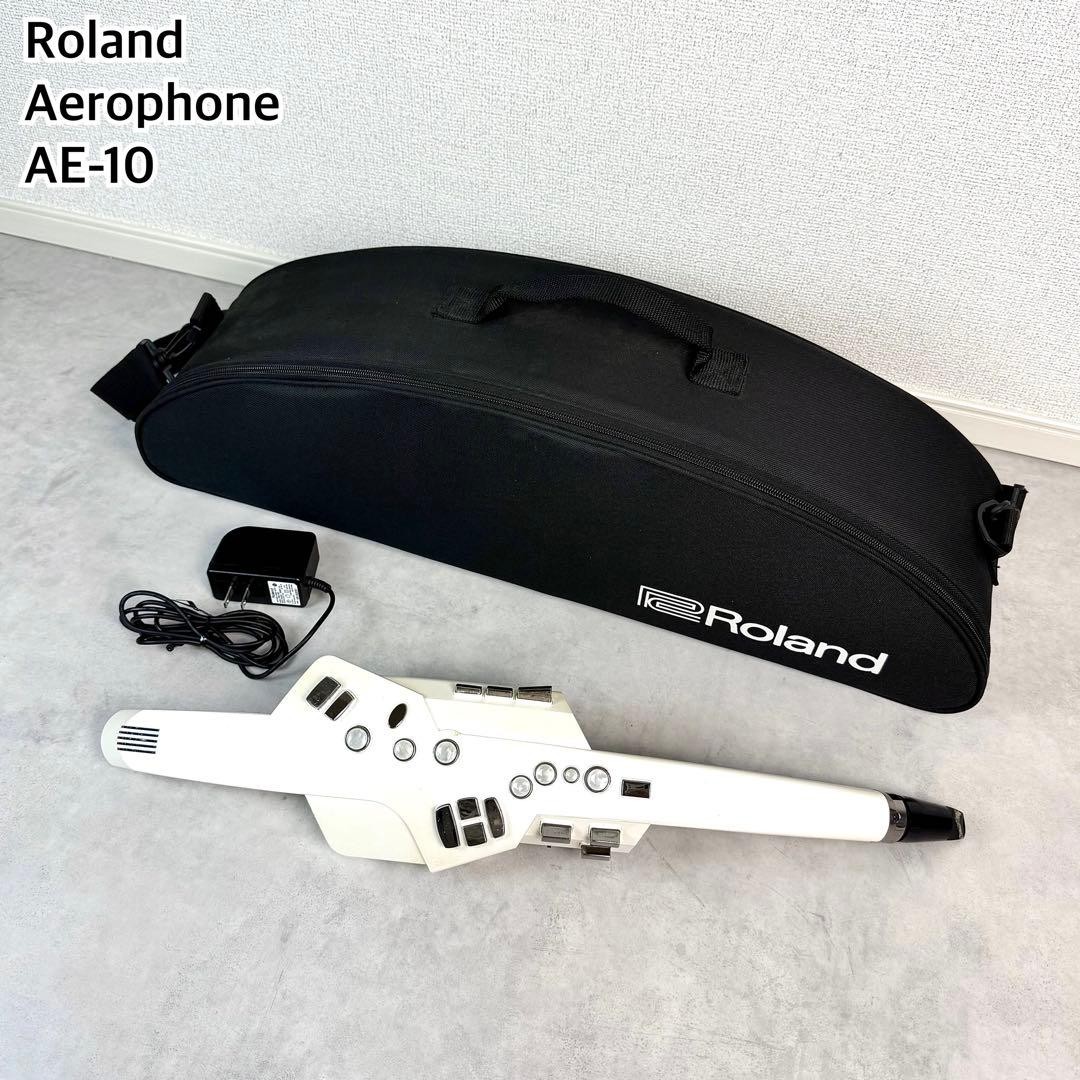 Roland Aerophone AE-10 Digital Wind Synthesizer Case Adapter Tested from Japan