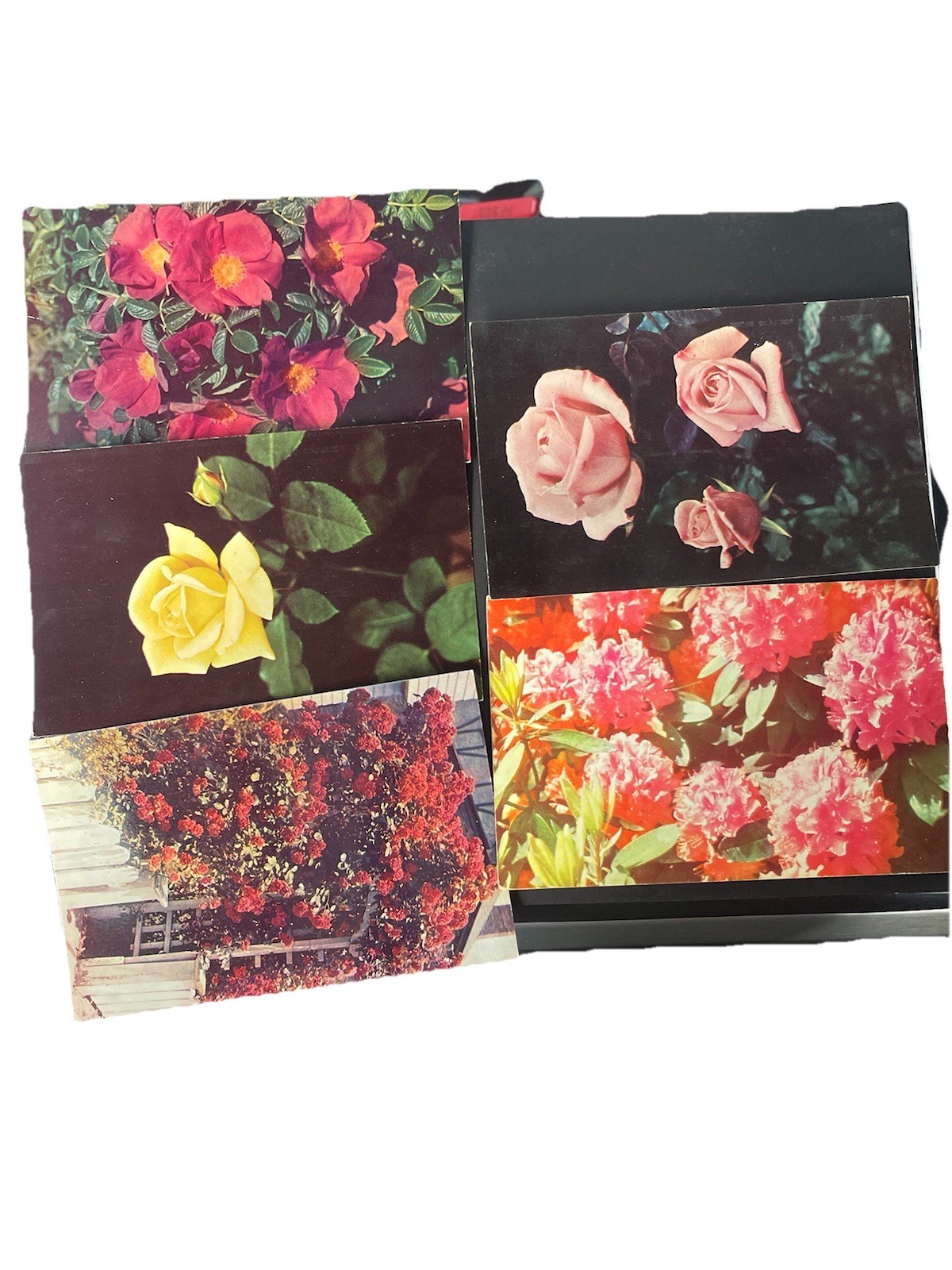 Lot of 5 Vintage Floral Postcards Lot of 5 Vintage Floral Postcards