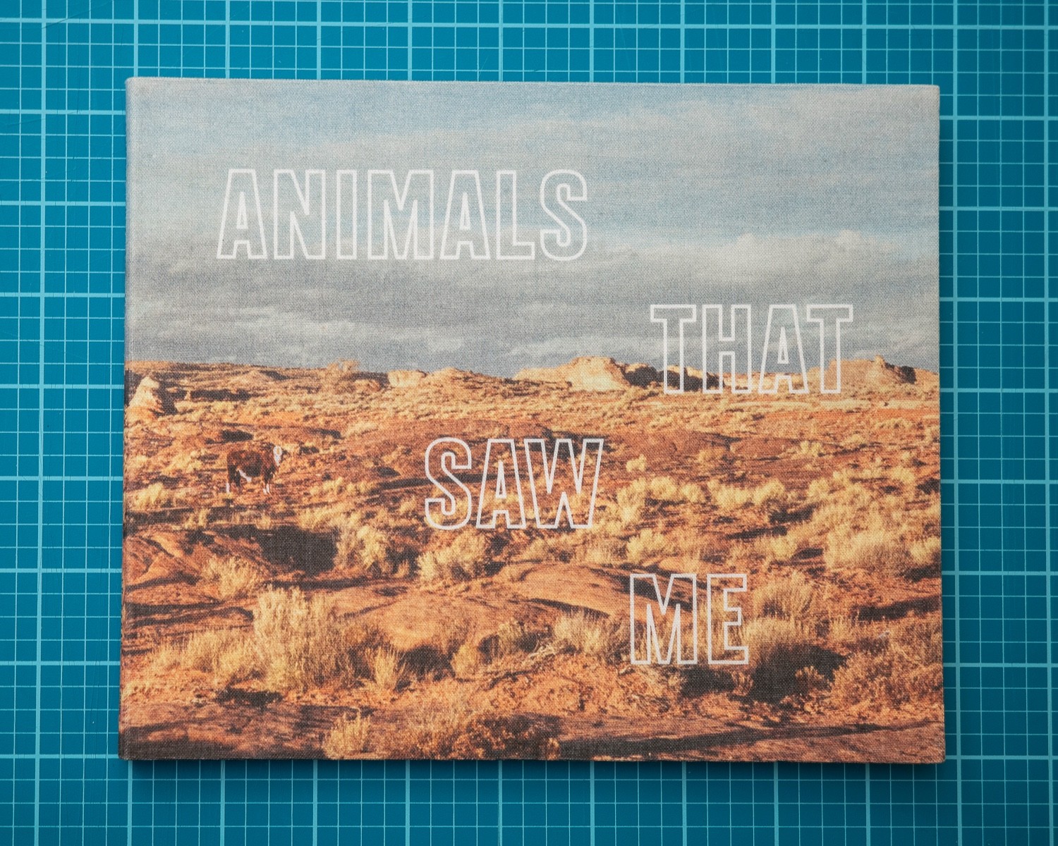 Animals That Saw Me by Ed Panar Animals That Saw Me by Ed Panar