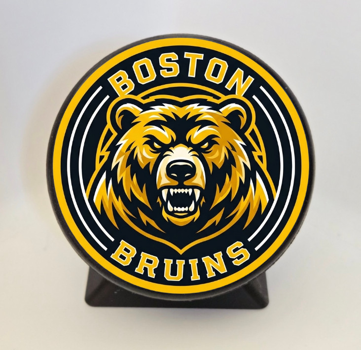 New 2026 Boston Bruins Hockey Puck With Stand New 2026 Boston Bruins Hockey Puck With Stand