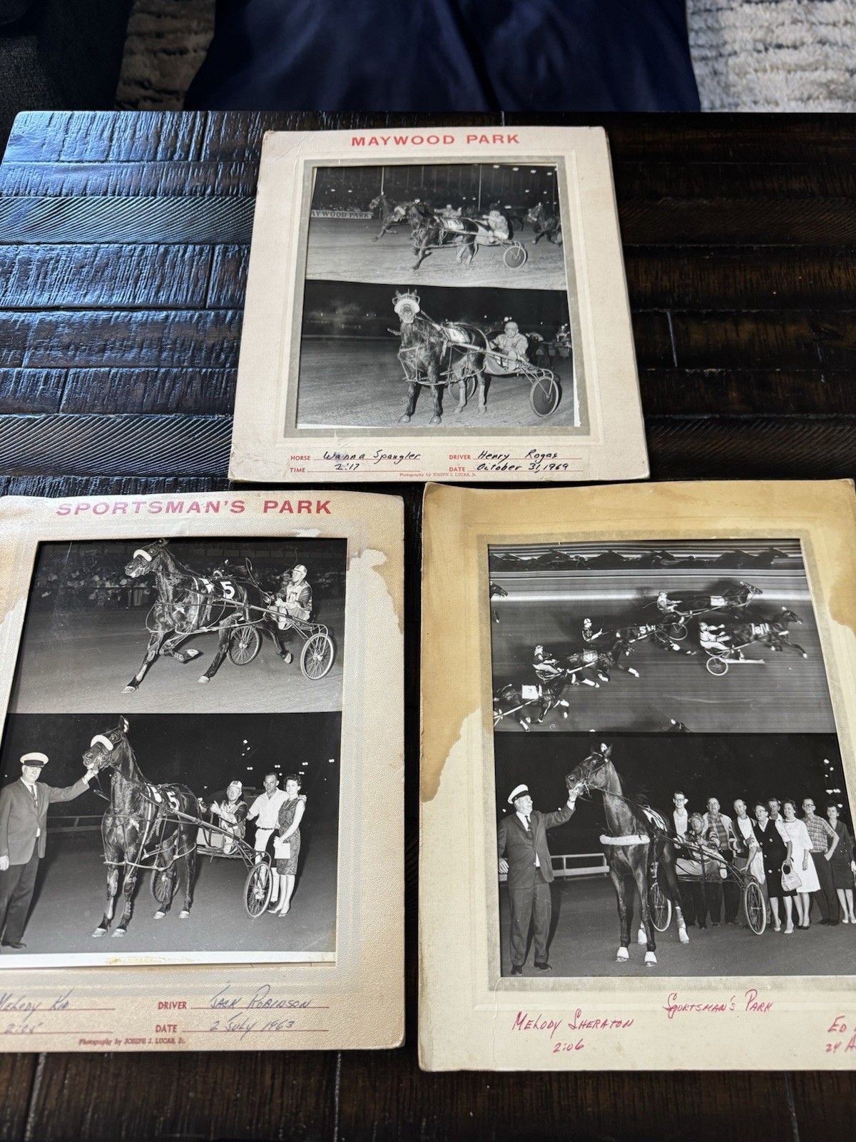 - Maywood Park - Sportsman Park - Original Harness Racing Photos 1960s Nice Rare - Maywood Park - Sportsman Park - Original Harness Racing Photos 1960s Nice Rare