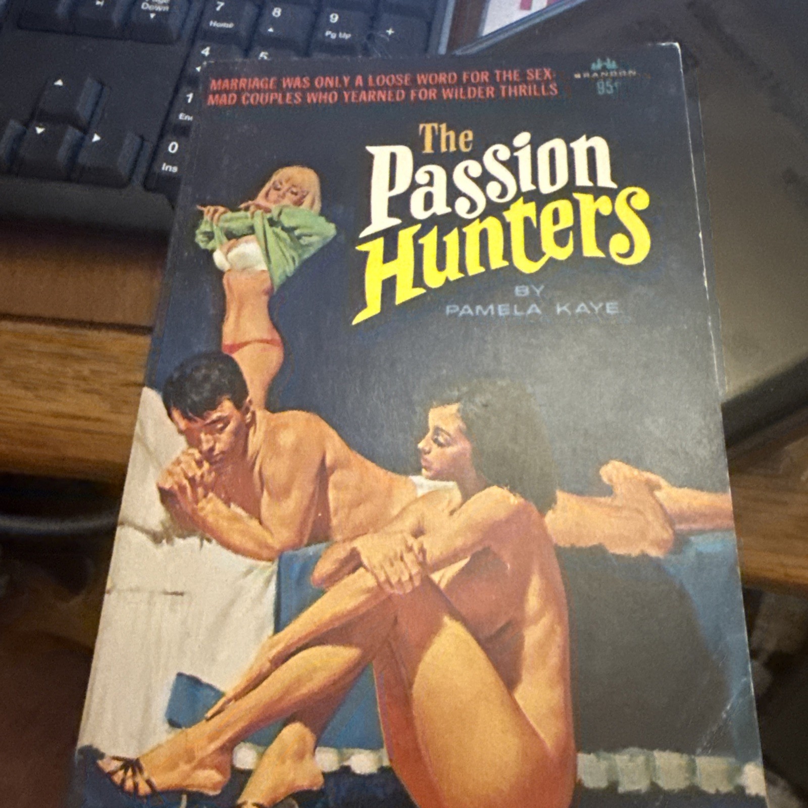 The Passion Hunters Pamela Kaye Vintage Sleaze Lesbian Paperback 1966 1st Fine The Passion Hunters Pamela Kaye Vintage Sleaze Lesbian Paperback 1966 1st Fine