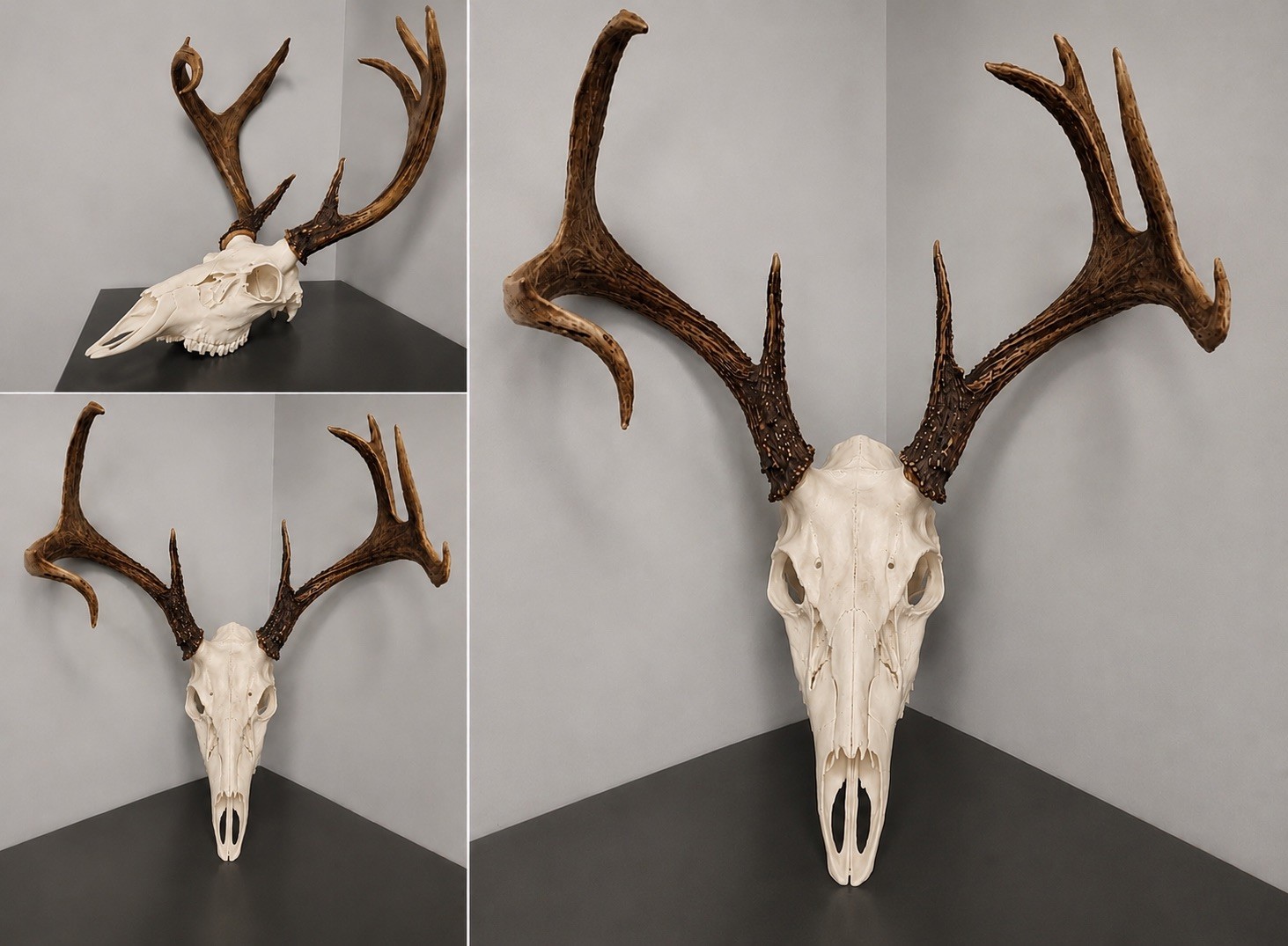 Hunting Deer skull European mounting kit for antlers/sheds - Bone White 