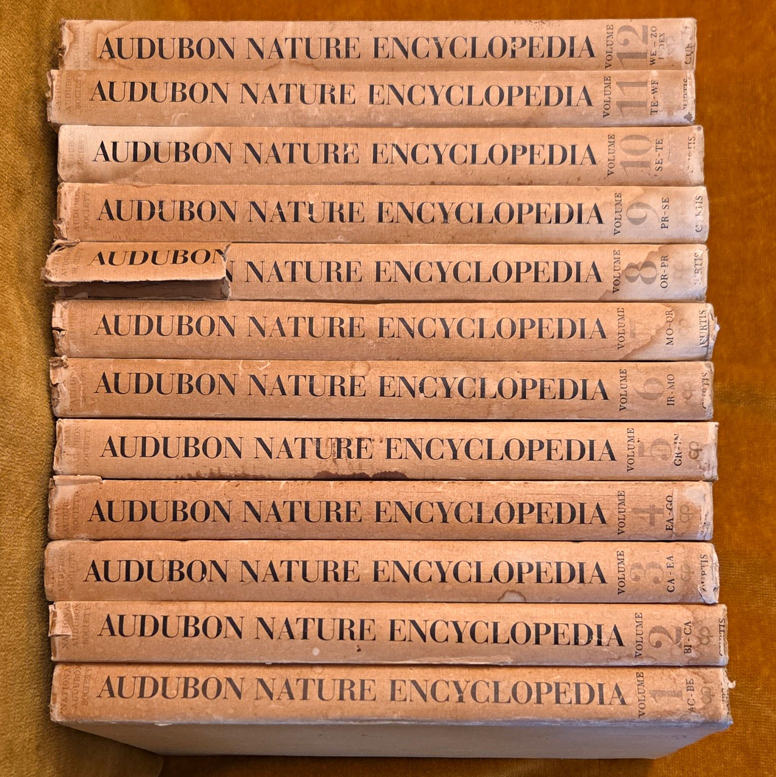 Vintage 1965 Audubon Nature Encyclopedia Complete 12 Vol Set MC Clean Insides 