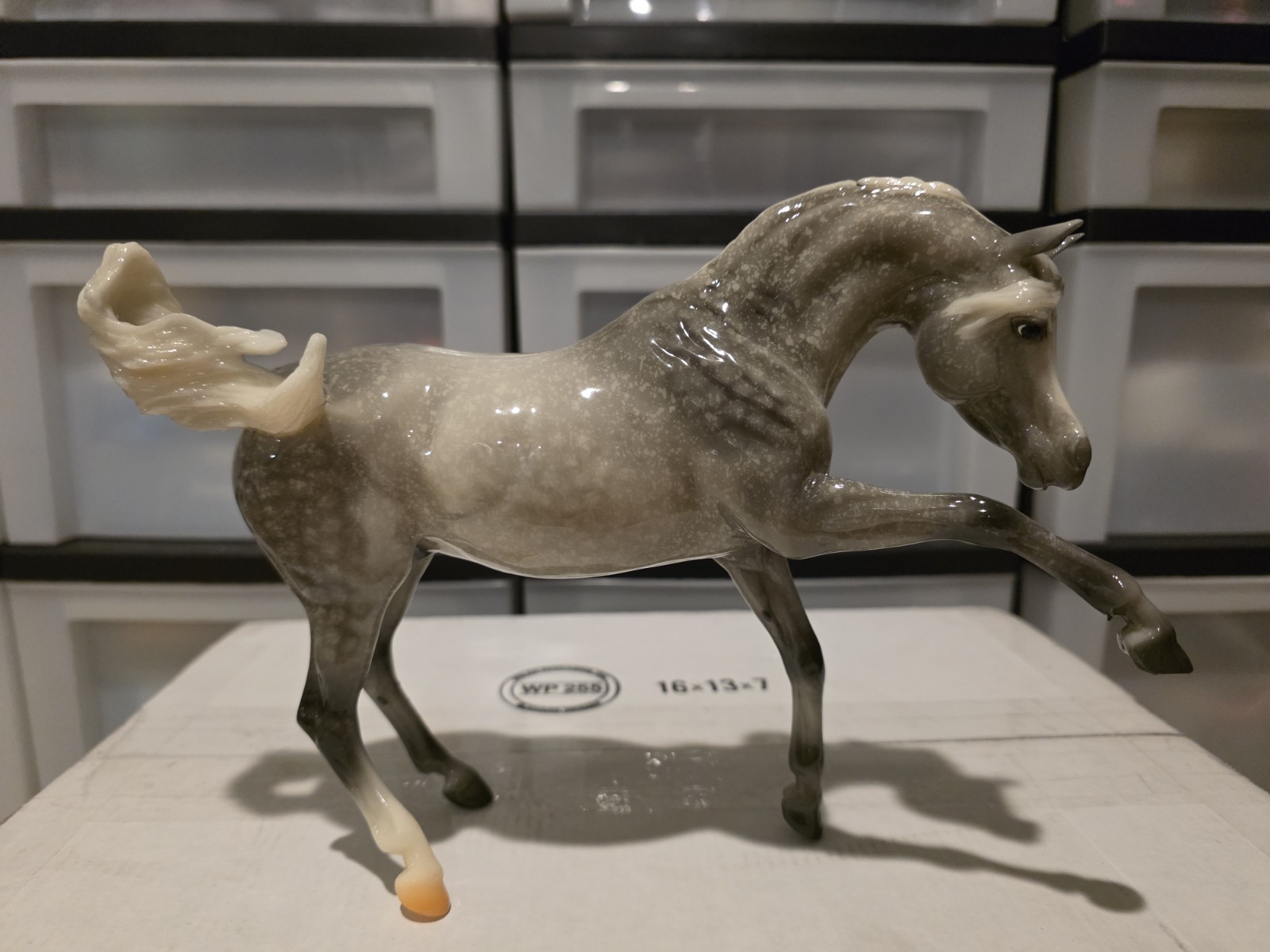 Breyer Breyerfest 2024 Special Run Edge of Glory Breyer Breyerfest 2024 Special Run Edge of Glory