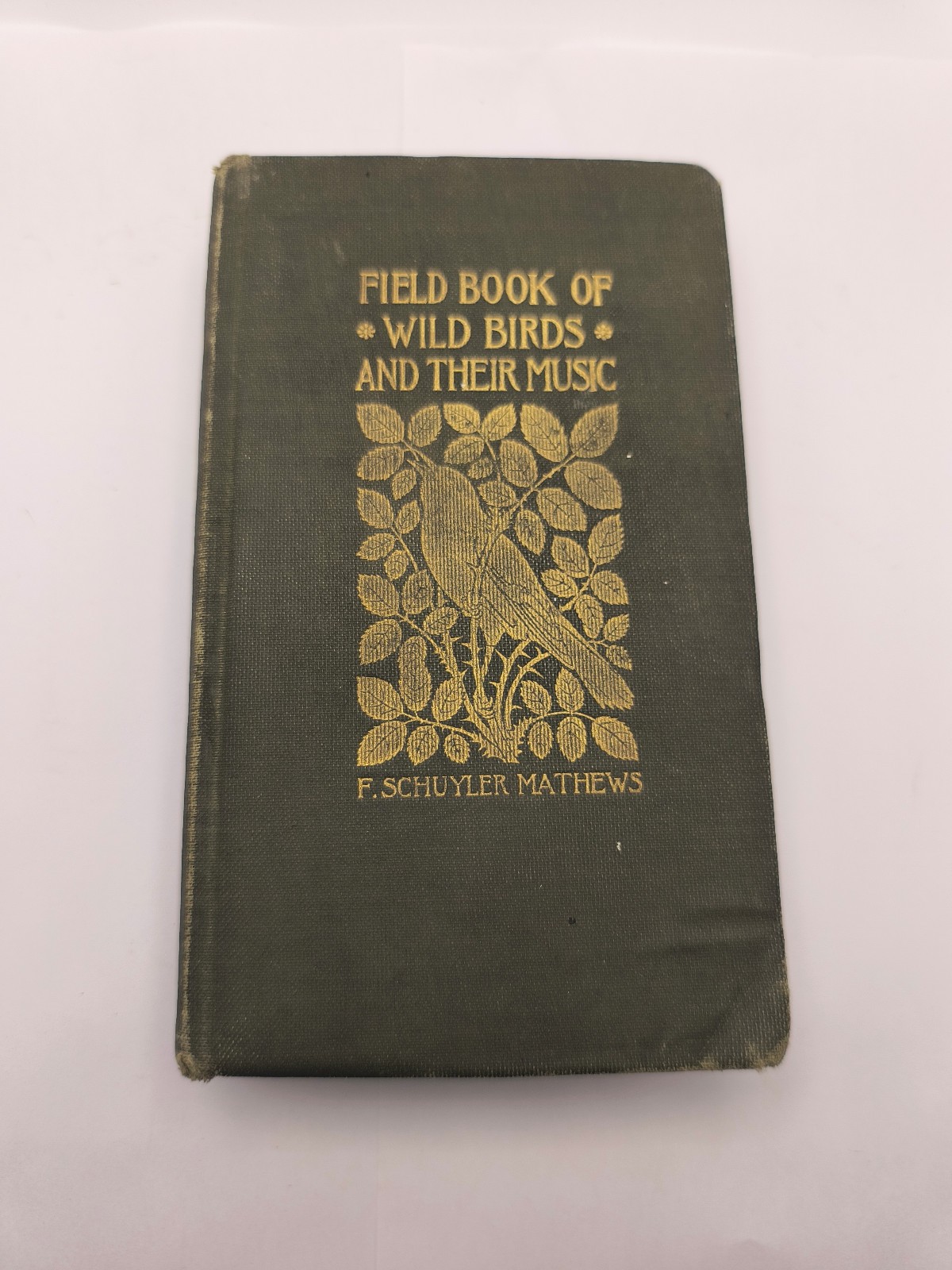 Vintage 1921 Field Book of Wild Birds and Their Music Schuyler Mathews Hardcover