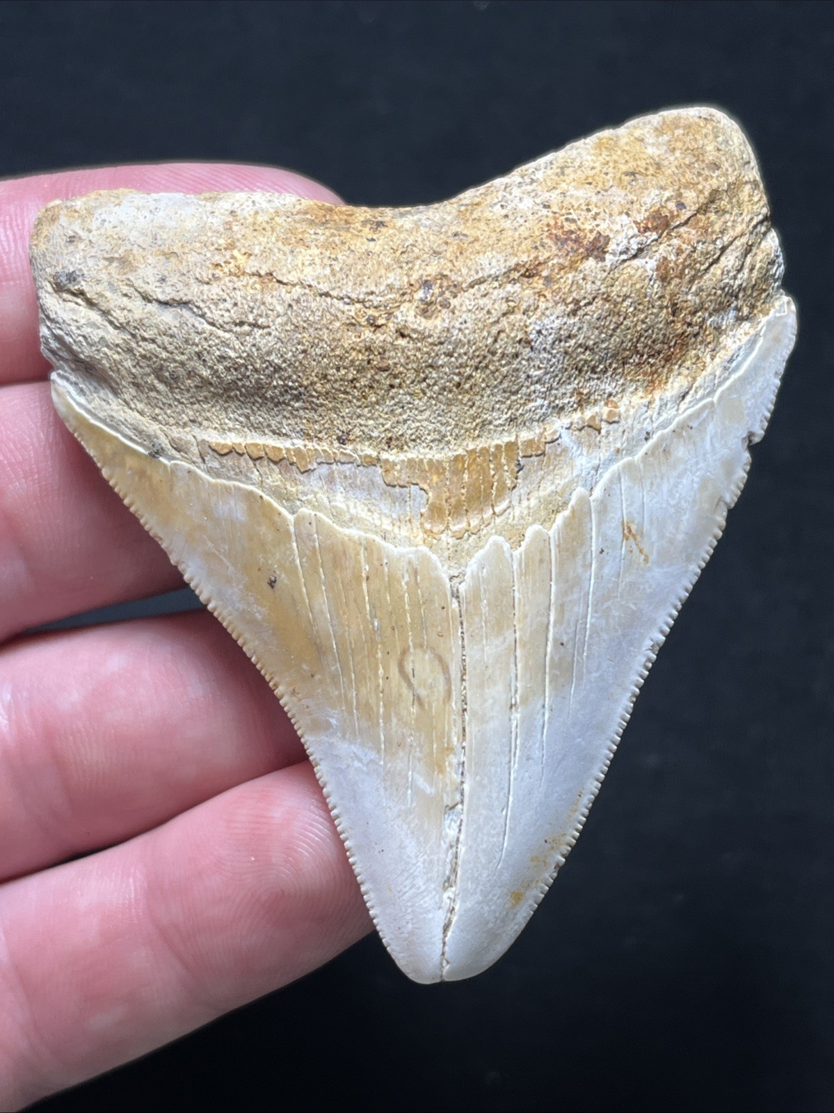 3.03\