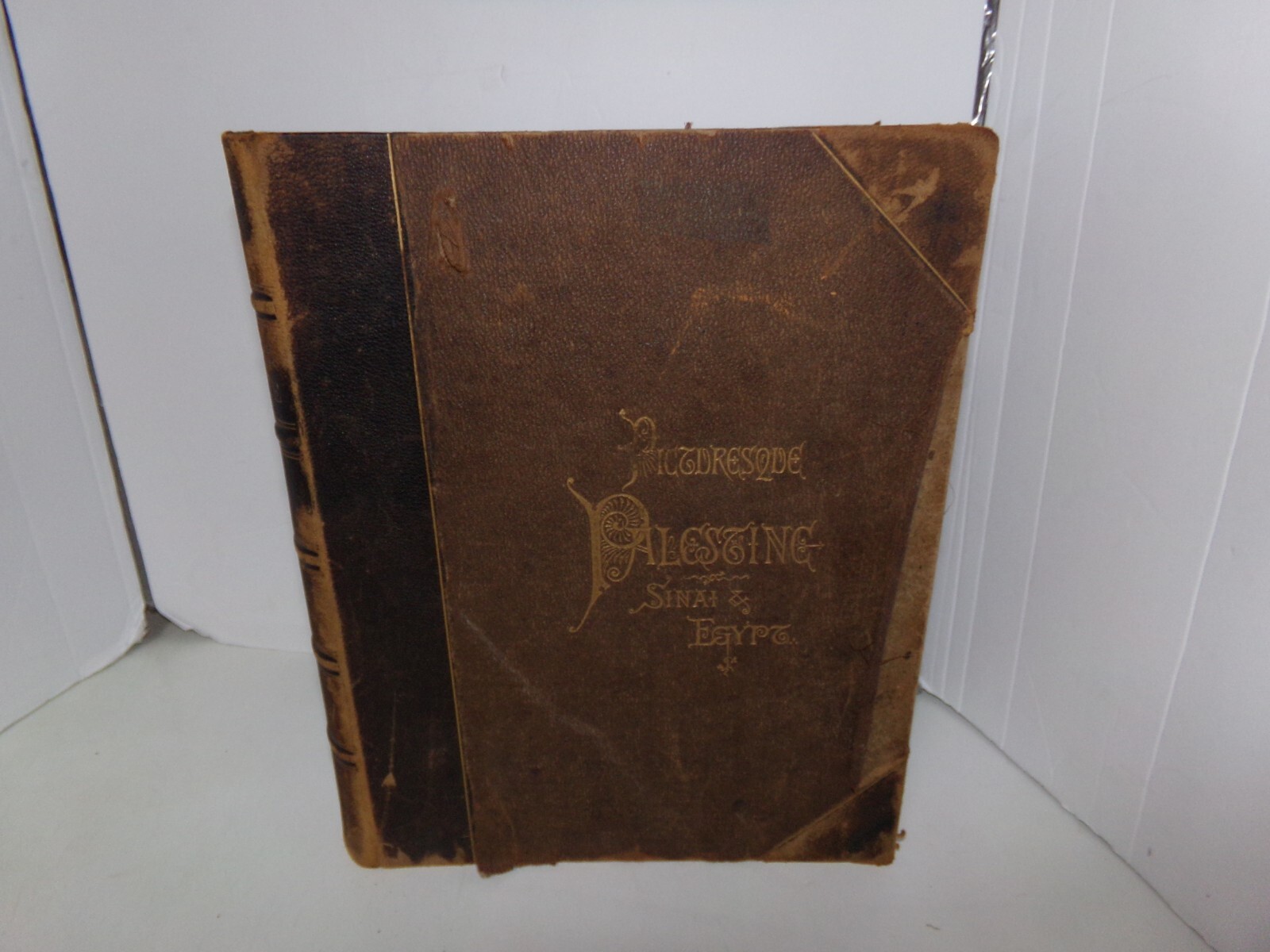 1881 PICTURESQUE PALESTINE Sinai Egypt Antique Book