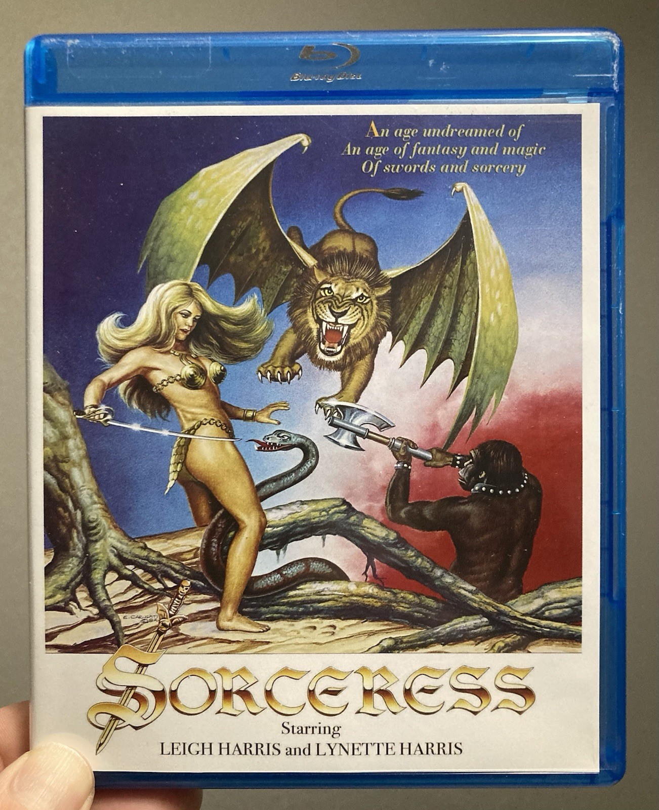 Sorceress (Blu-ray, 1982) OOP Rare Scorpion Releasing Leigh Lynette Harris Twins Sorceress (Blu-ray, 1982) OOP Rare Scorpion Releasing Leigh Lynette Harris Twins
