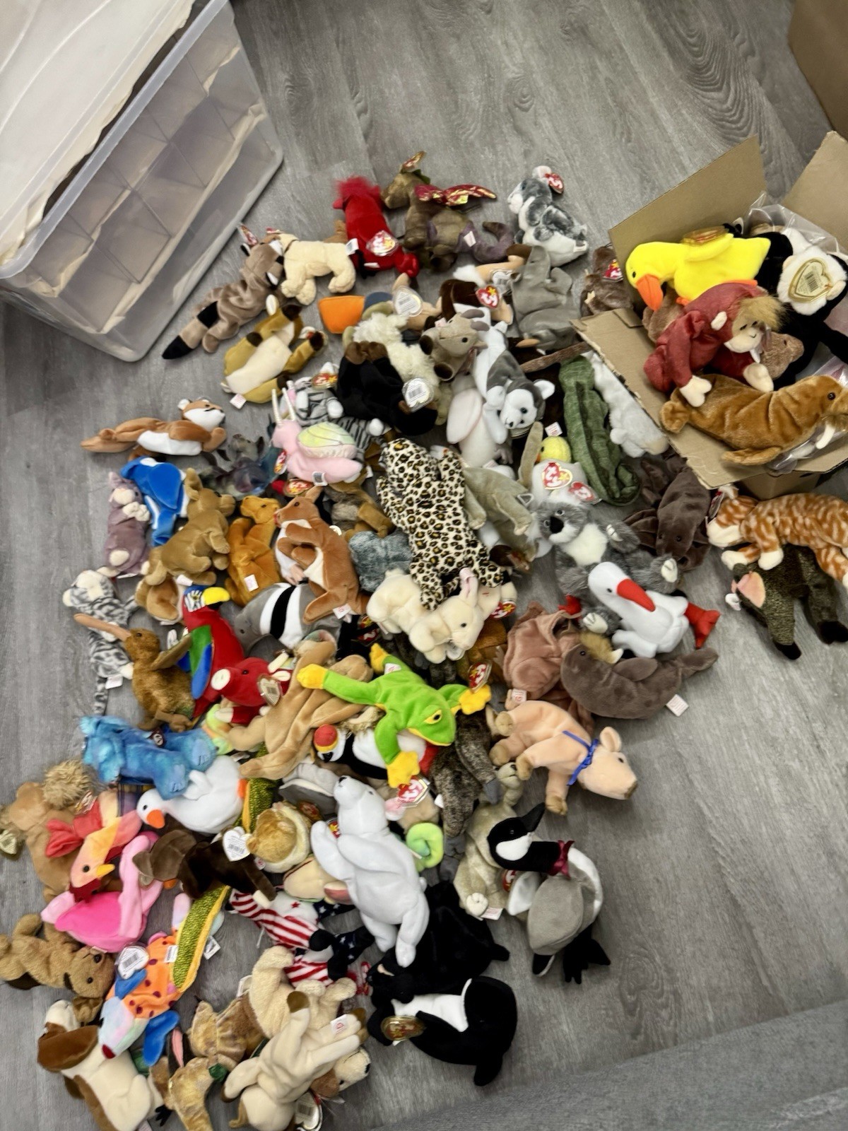 TY Beanie Babies LOT TY Beanie Babies LOT